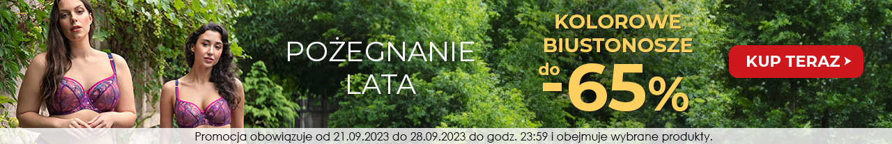 oferta banner