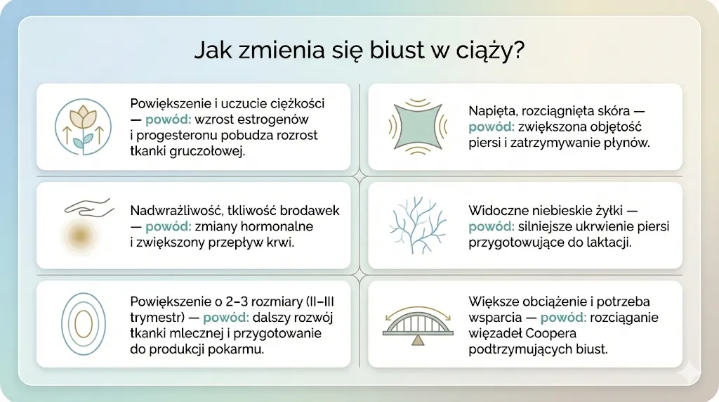 Jak zmienia się biust w czasie ciąży?