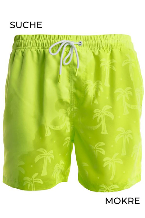 Bermudy kąpielowe Moraj KSZ2600-003 green