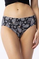 paisley