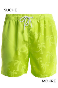 Bermudy kąpielowe Moraj KSZ2600-003 green