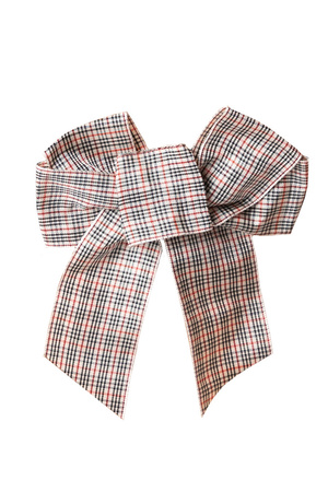 Akcesoria do biustonosza zapięcie Julimex BA-19 kokarda na zapięcie 2-rzędowa check